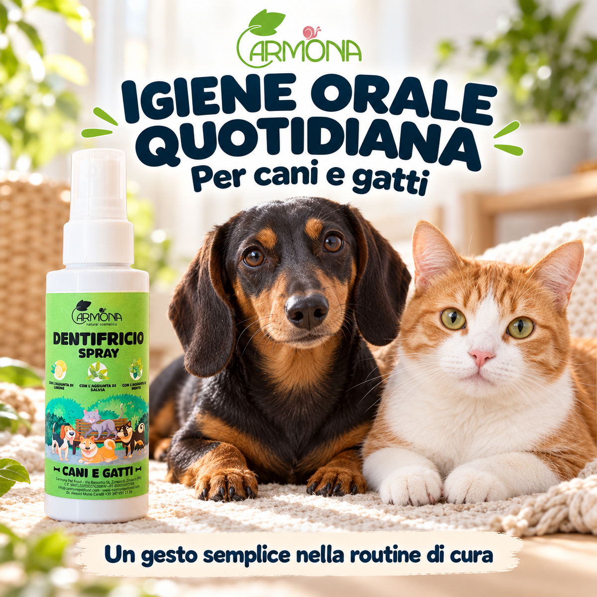 Carmona DENTIFRICIO SPRAY SENZA SPAZZOLAMENTO - 100 ml — spiegazione