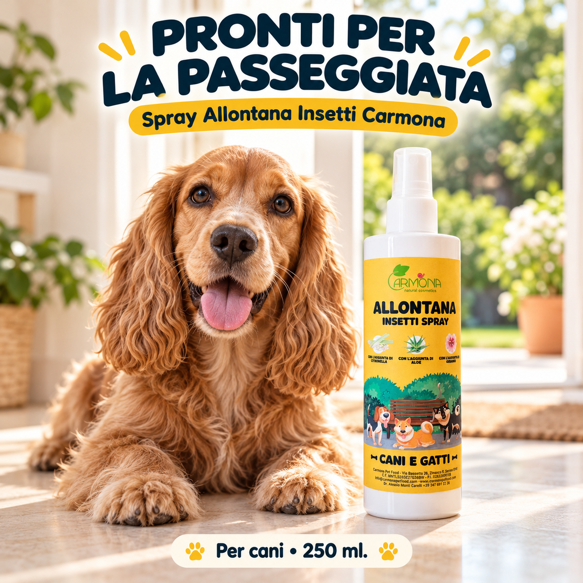 Carmona Spray Allontana Insetti 250 ml — spiegazione