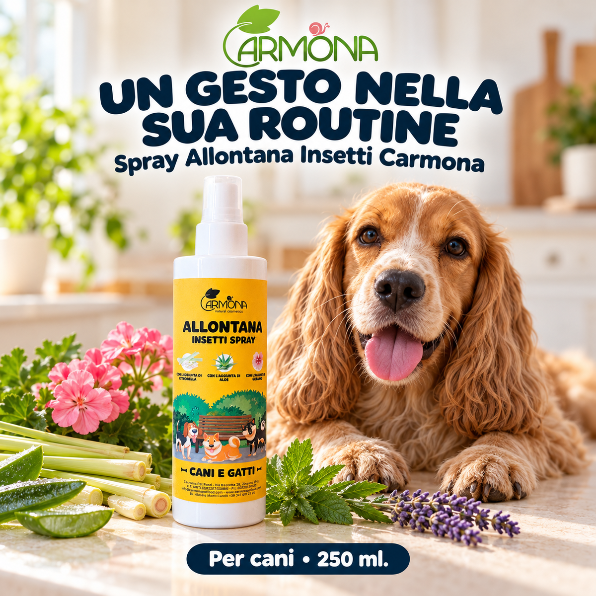 Carmona Spray Allontana Insetti 250 ml — chiusura
