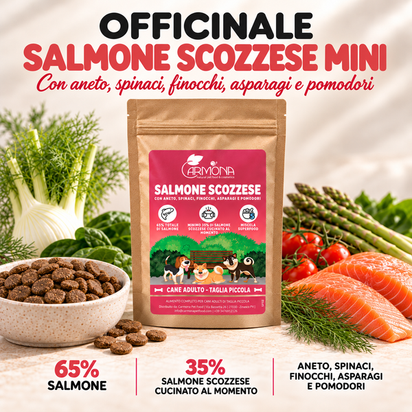 Crocchette Officinale al salmone scozzese - cani di taglia piccola/mini - 2 kg