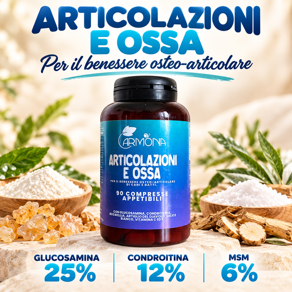 Articolazioni e ossa