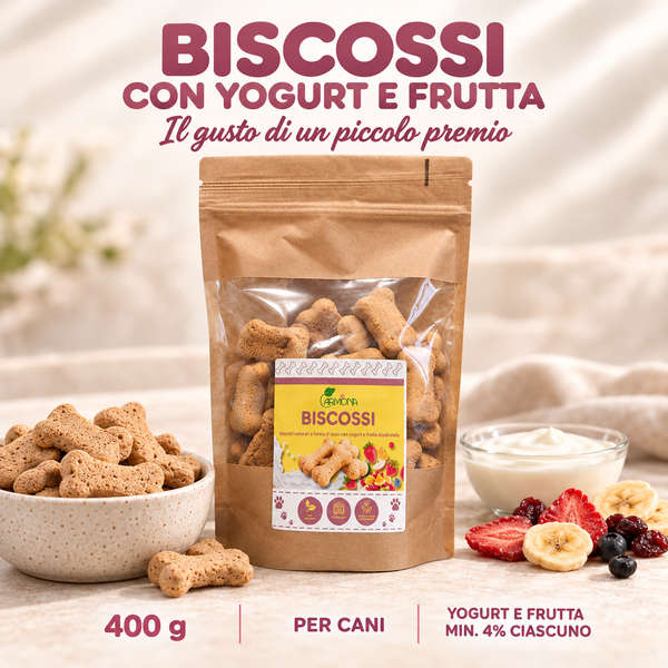 BISCOSSI CON YOGURT E FRUTTA - 400 g