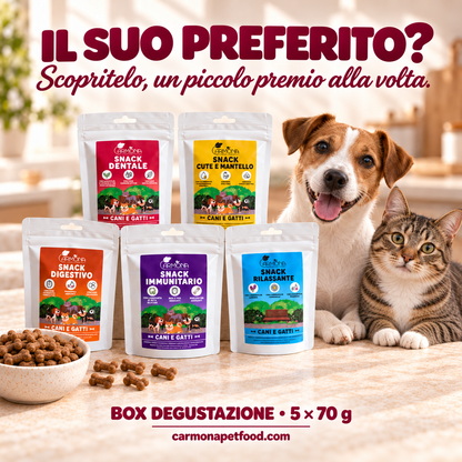 Box degustazione snack funzionali Carmona 5 × 70 g — chiusura