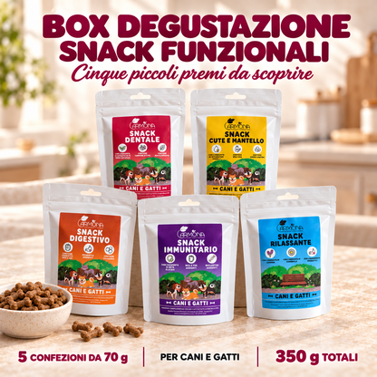Box degustazione snack funzionali Carmona 5 × 70 g — copertina