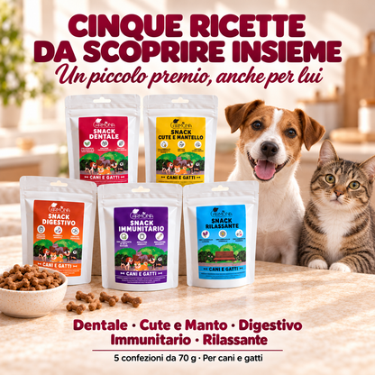 Box degustazione snack funzionali Carmona 5 × 70 g — presentazione