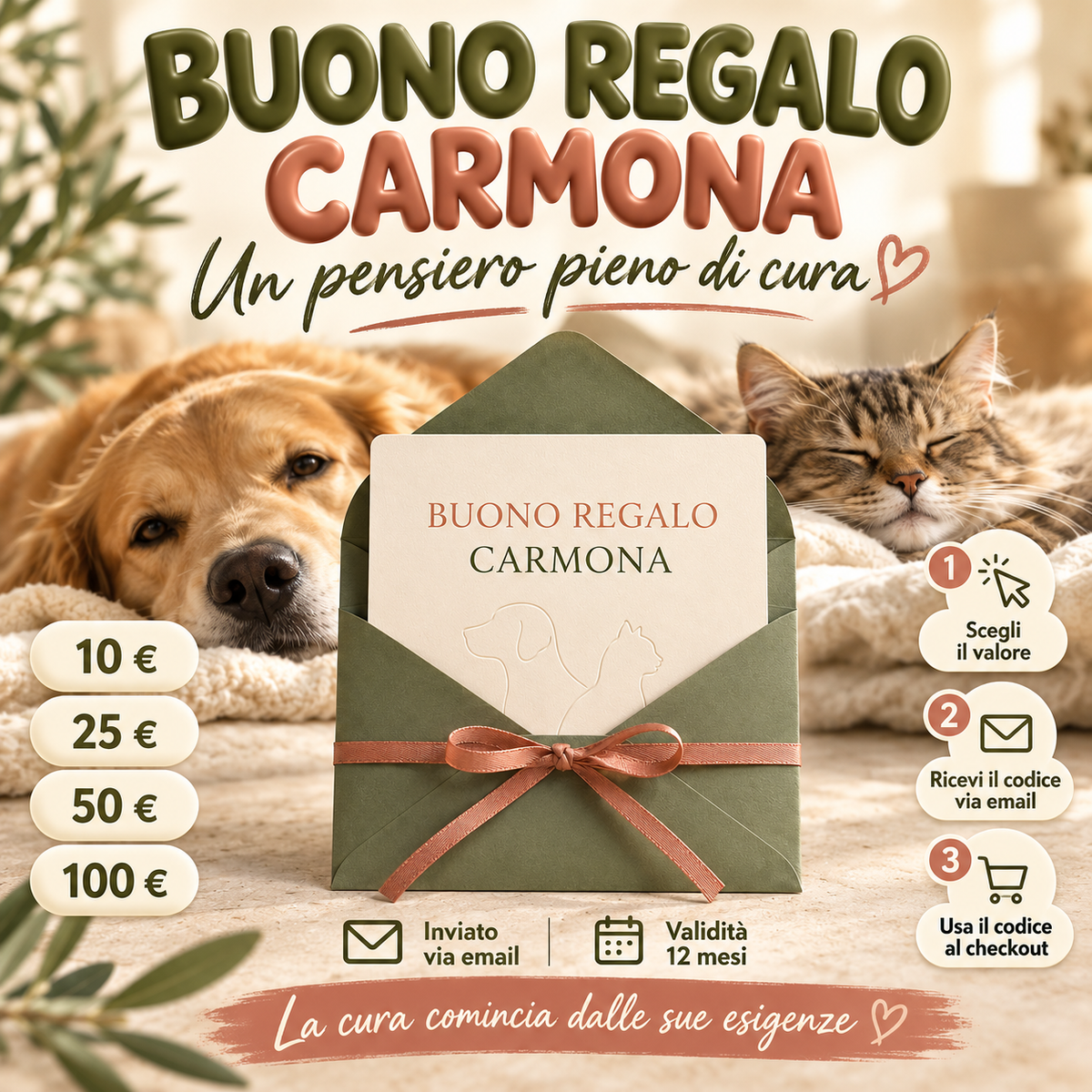 Buono regalo Carmona — closing