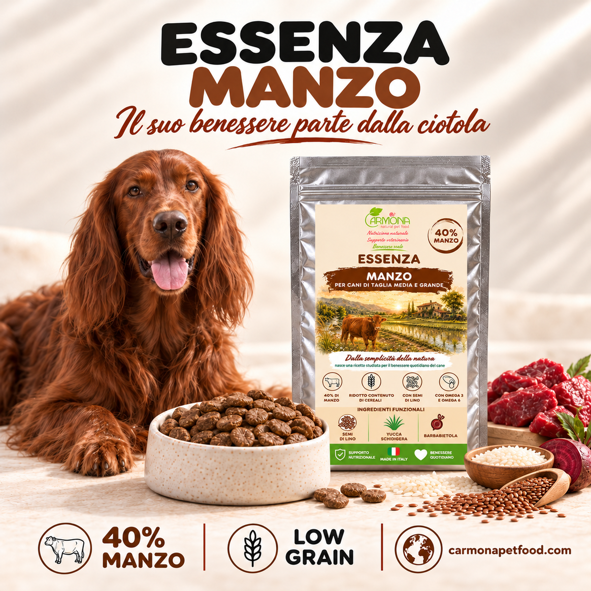 ESSENZA al Manzo Carmona — pasto quotidiano