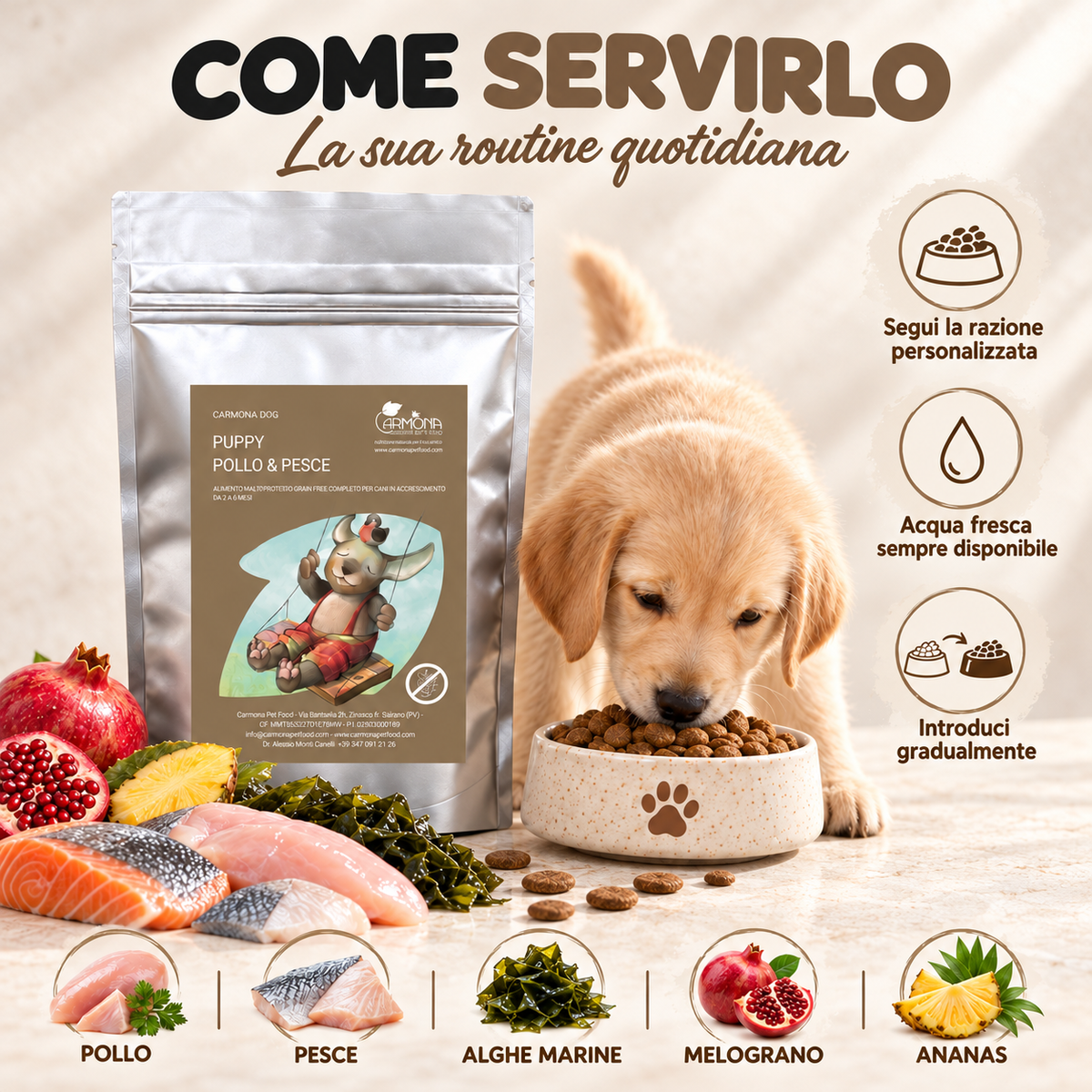 PUPPY 2 - 6 MESI - Multiproteina senza cereali con Pesce, Pollo, Alghe Marine, Melograno, Ananas Carmona — modo d’uso