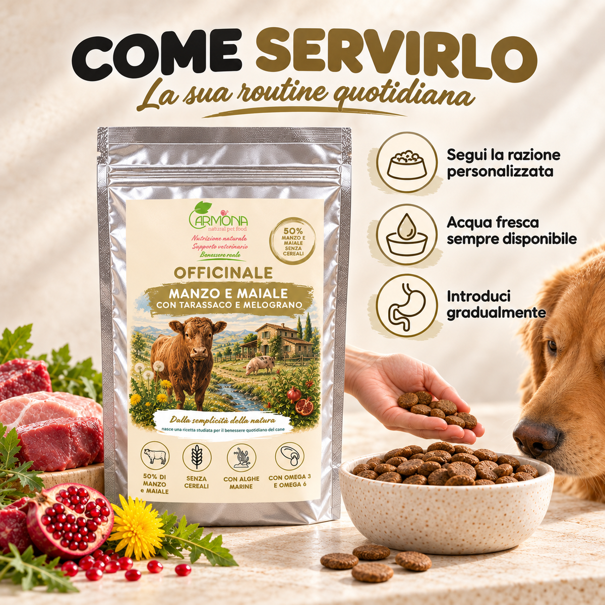 OFFICINALE con Manzo e Maiale Carmona — modo d’uso