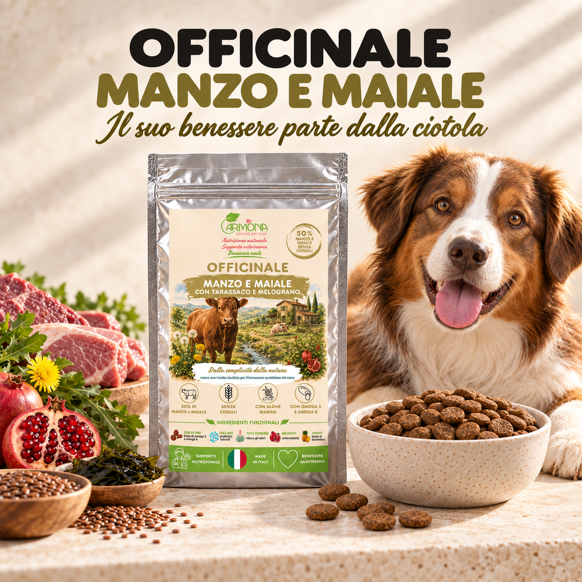 OFFICINALE con Manzo e Maiale Carmona — pasto quotidiano