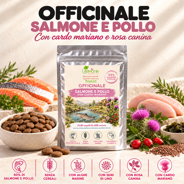 OFFICINALE con Salmone e Pollo