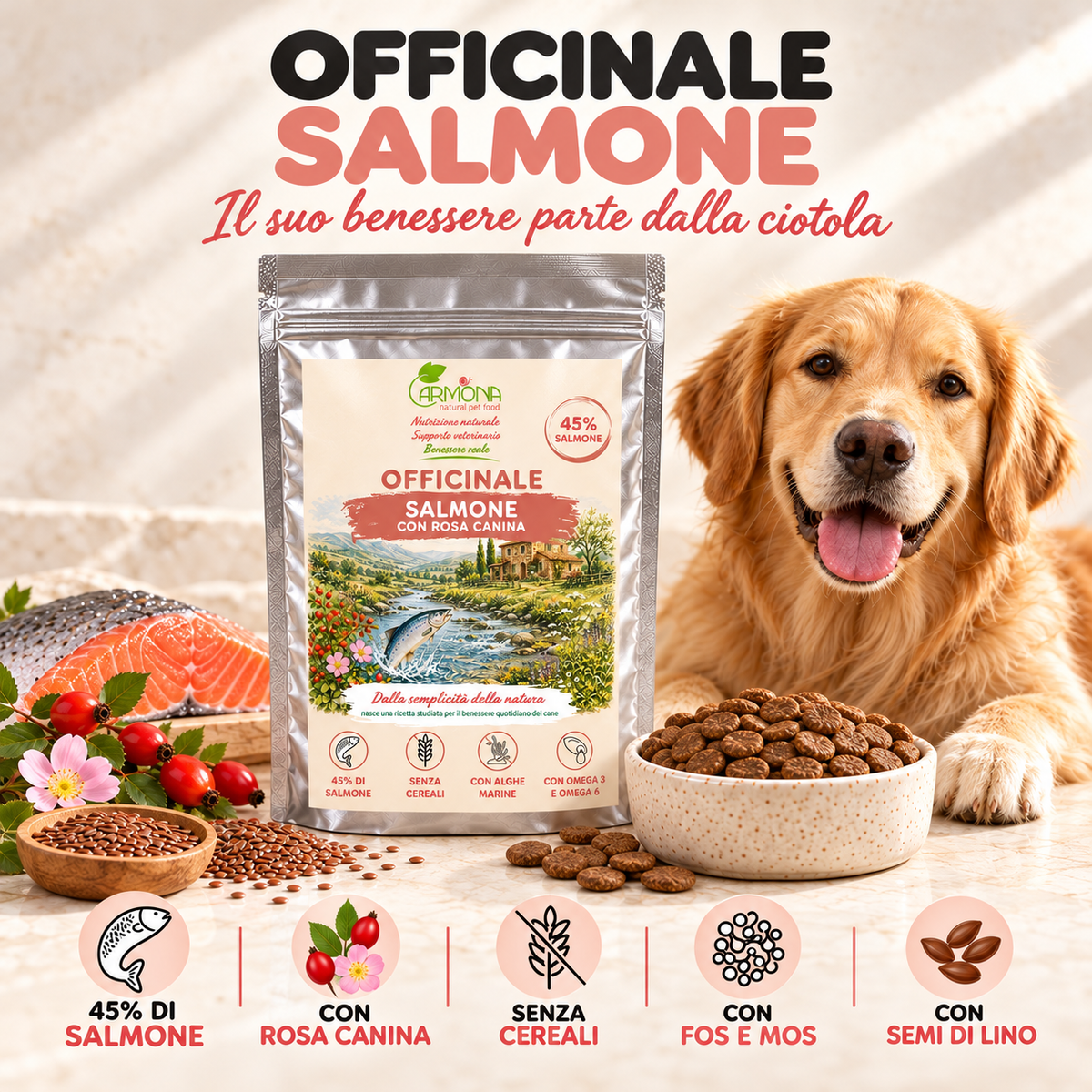 OFFICINALE al Salmone Carmona — pasto quotidiano