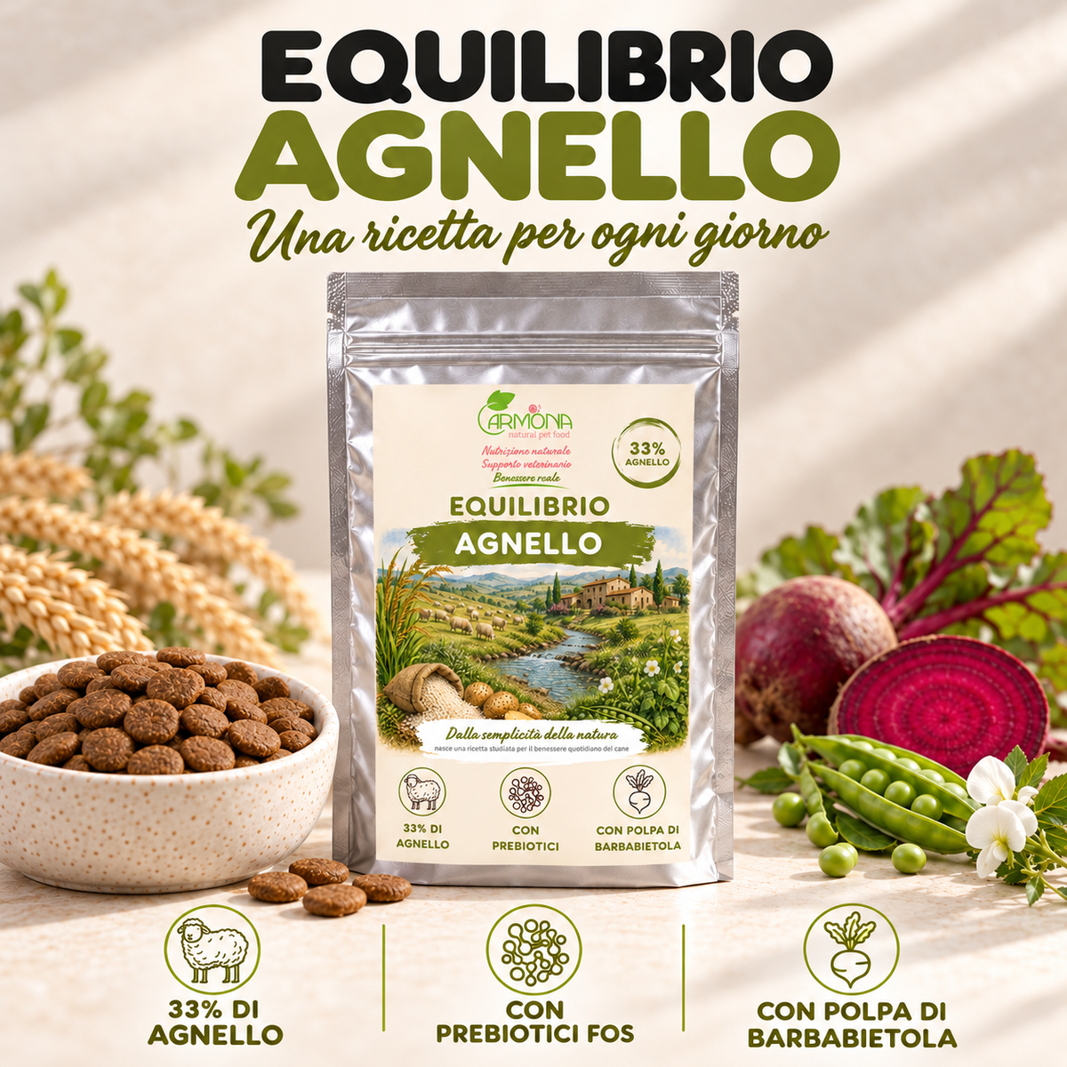 EQUILIBRIO all'Agnello Carmona — copertina