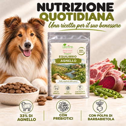 EQUILIBRIO all'Agnello Carmona — nutrizione quotidiana