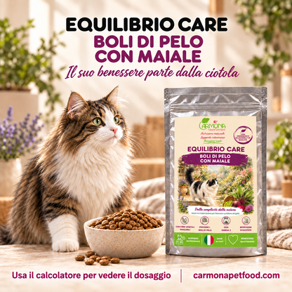 Carmona cat-hairball – chiusura