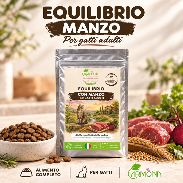 EQUILIBRIO con Manzo
