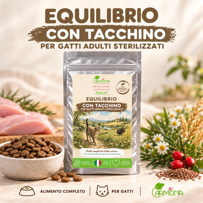 Equilibrio Tacchino gatto sterilizzato - Copertina