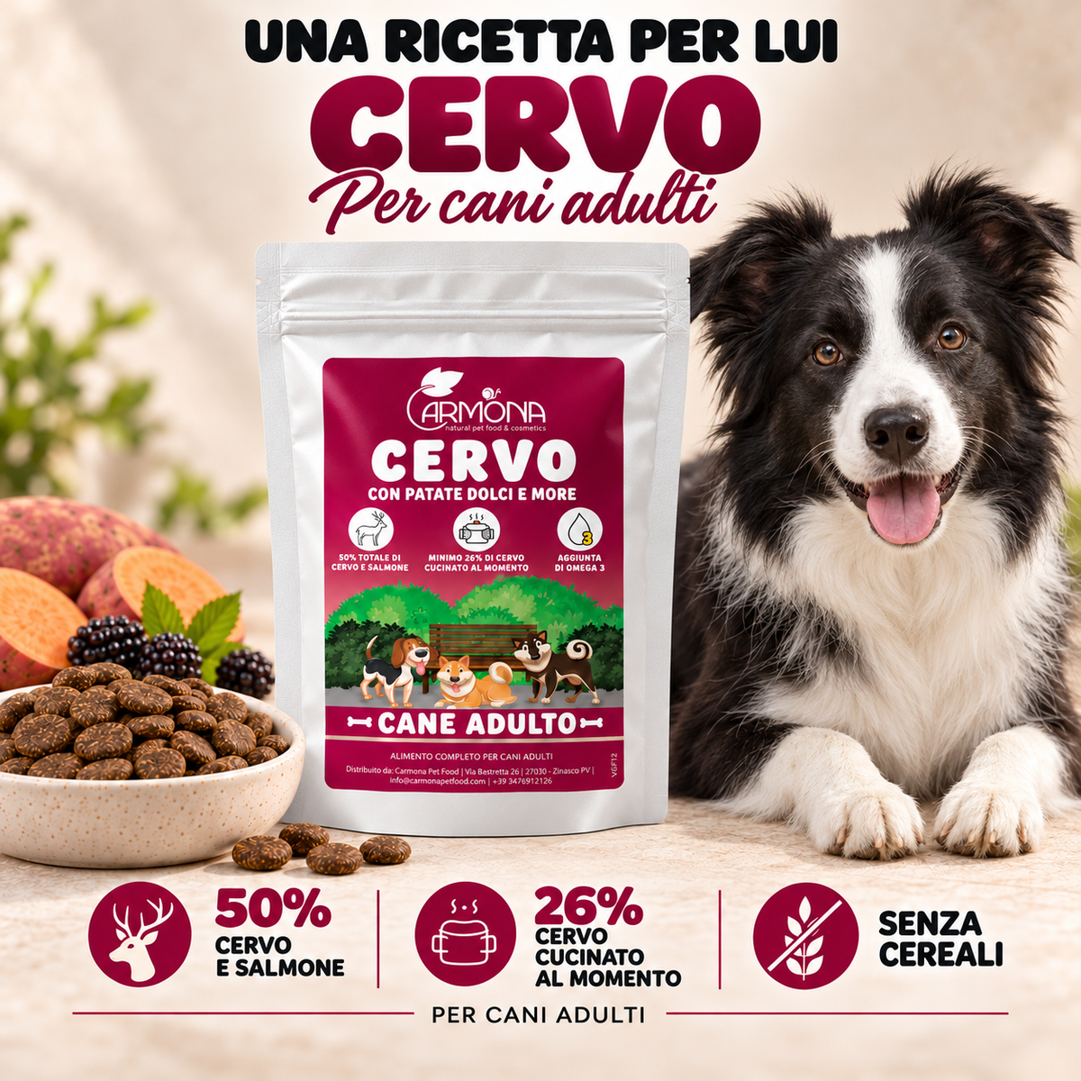 GRAIN FREE – CERVO CON PATATE DOLCI E MORE – spiegazione