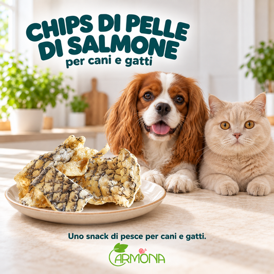CHIPS DI PELLE DI SALMONE per cani e gatti — Carmona, masticativo naturale