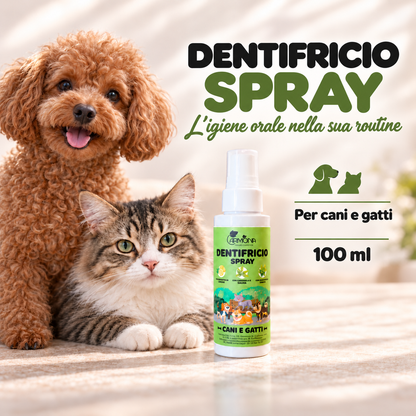 Carmona dentifricio – spiegazione