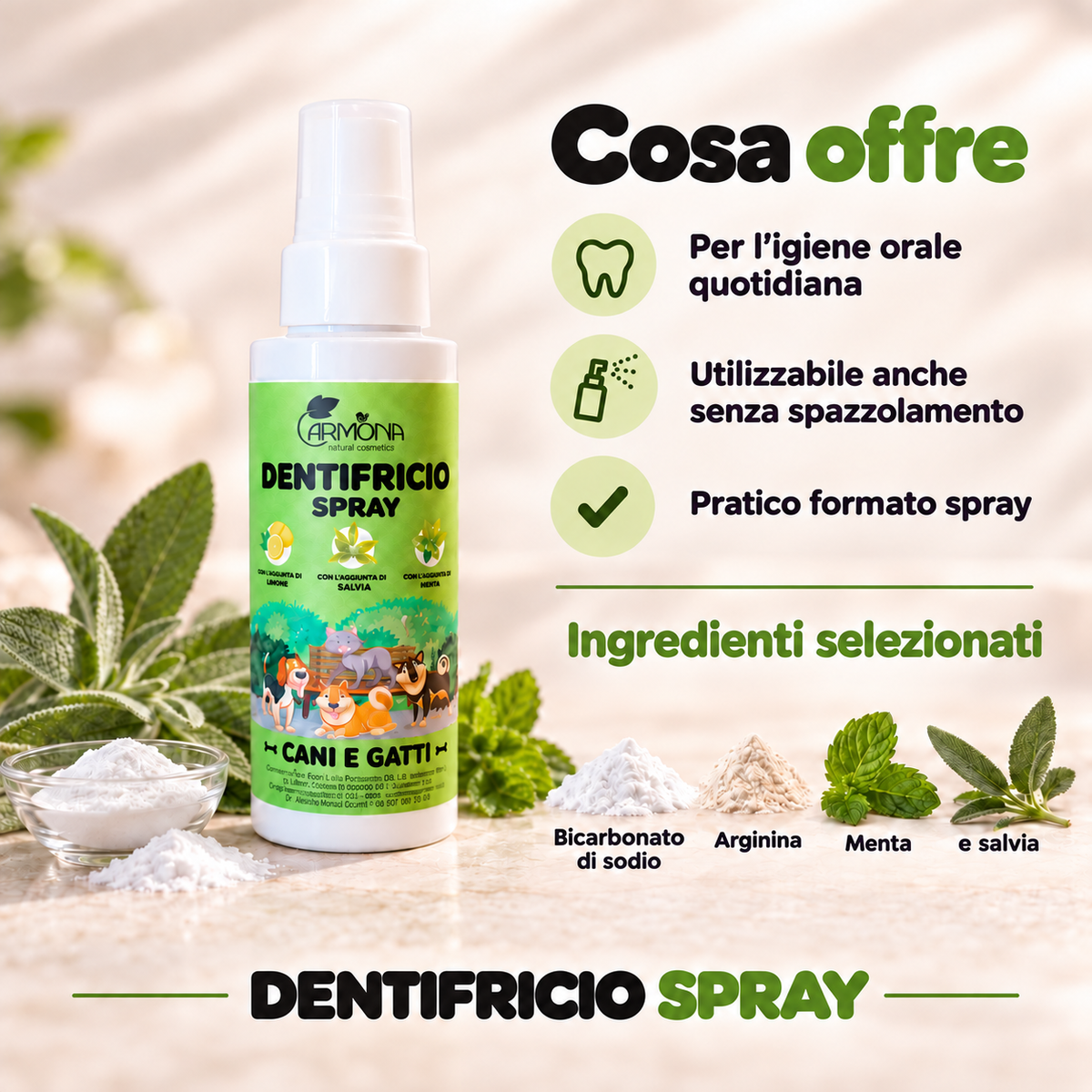 Carmona dentifricio – caratteristiche