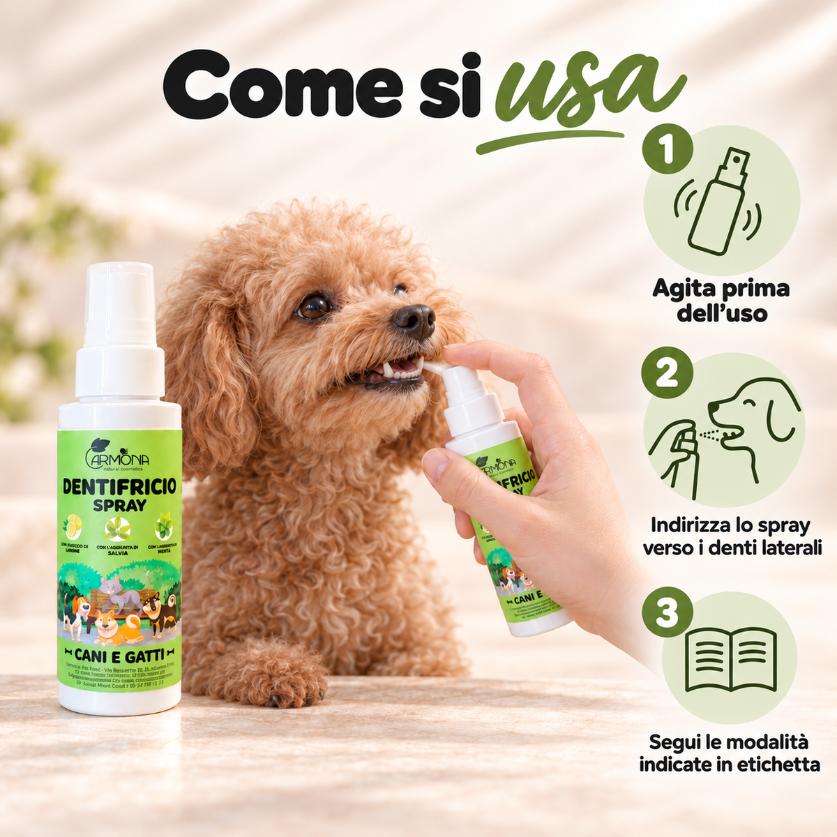 Carmona dentifricio – modo d’uso