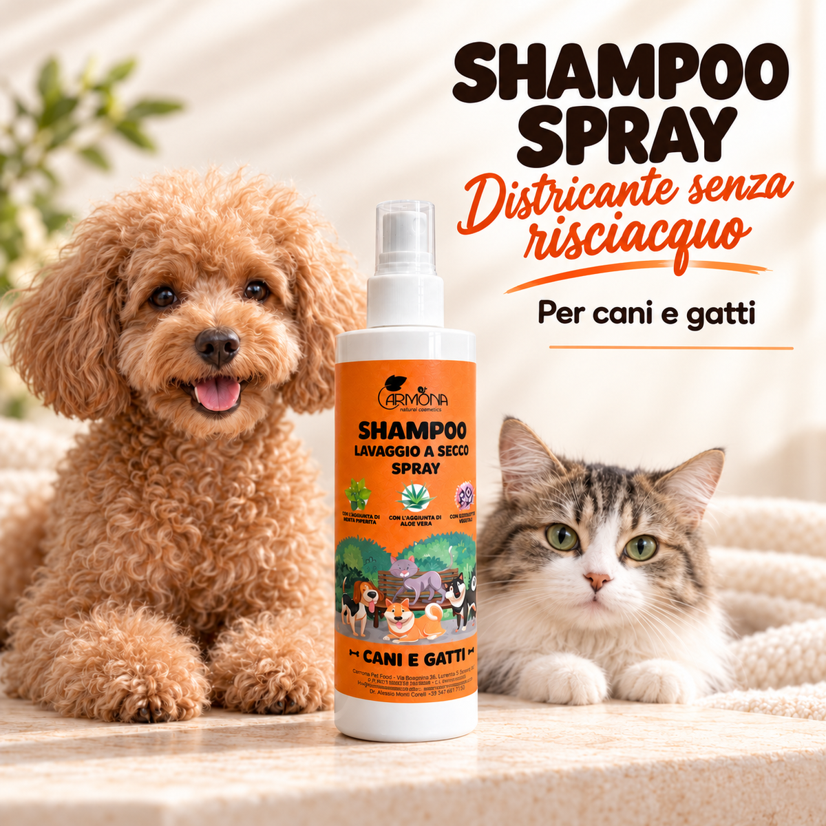 Carmona shampoo spray districante – spiegazione