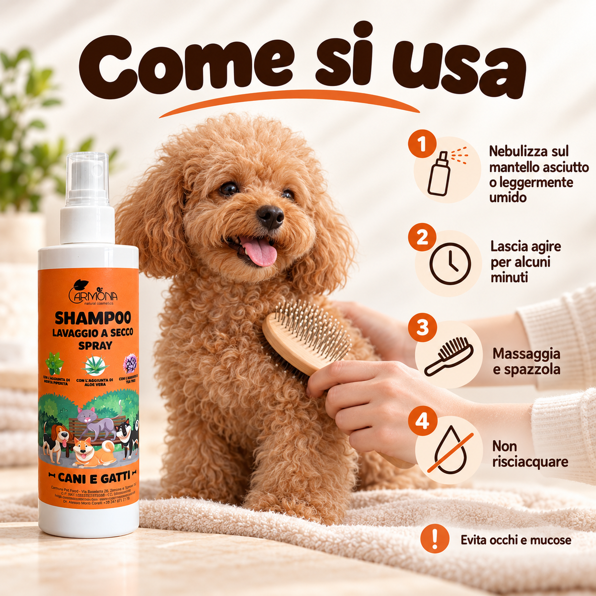 Carmona shampoo spray districante – modo d’uso