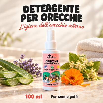Carmona detergente orecchie – copertina