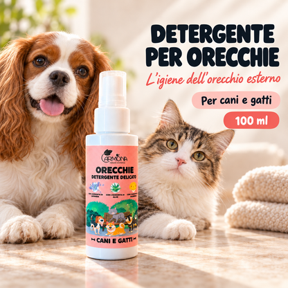 Carmona detergente orecchie – spiegazione