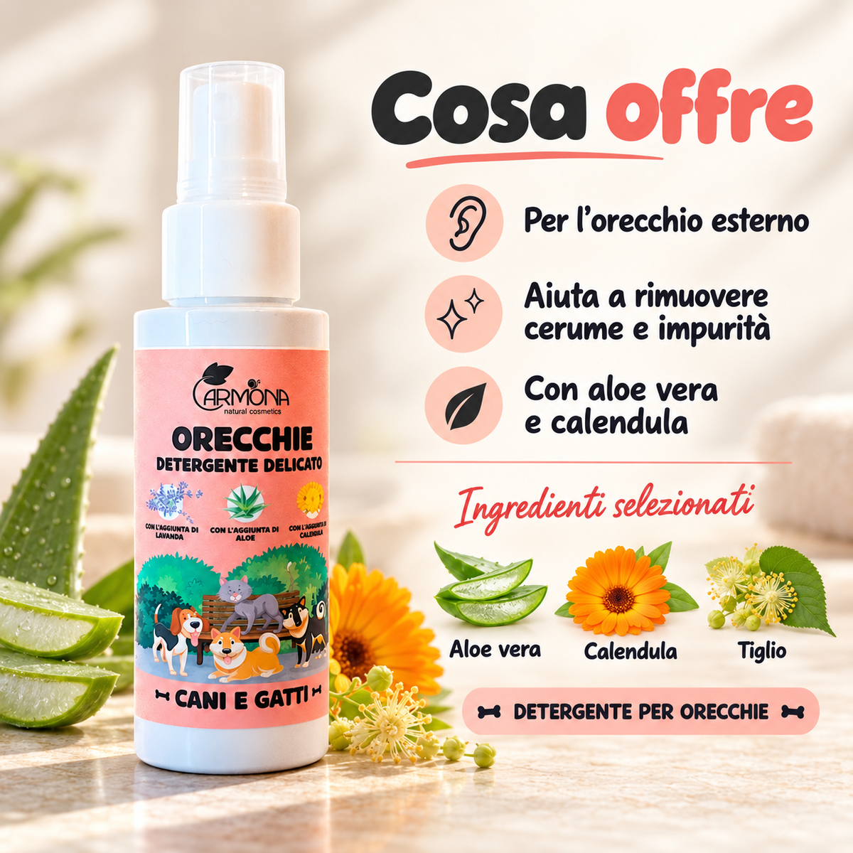 Carmona detergente orecchie – caratteristiche
