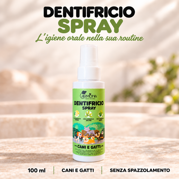 DENTIFRICIO SPRAY SENZA SPAZZOLAMENTO - 100 ml