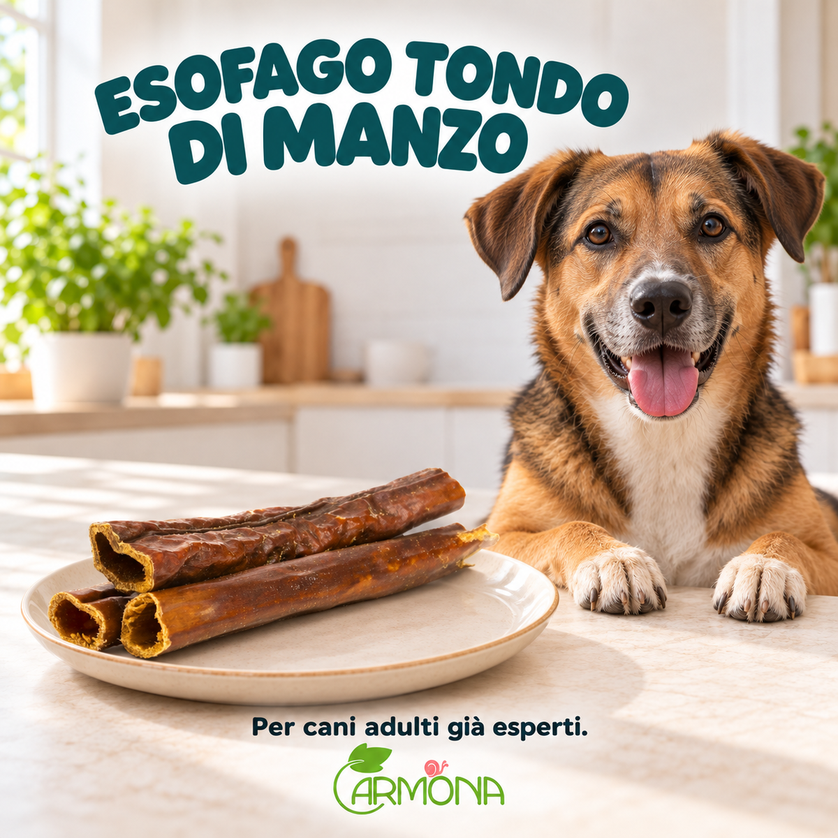 ESOFAGO TONDO DI MANZO — Carmona, masticativo naturale