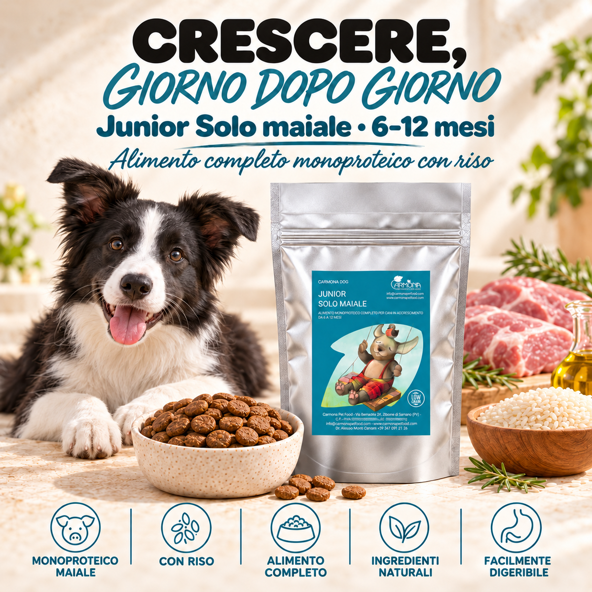 JUNIOR 6 - 12 MESI - Monoproteina Low Grain Maiale - immagine 2