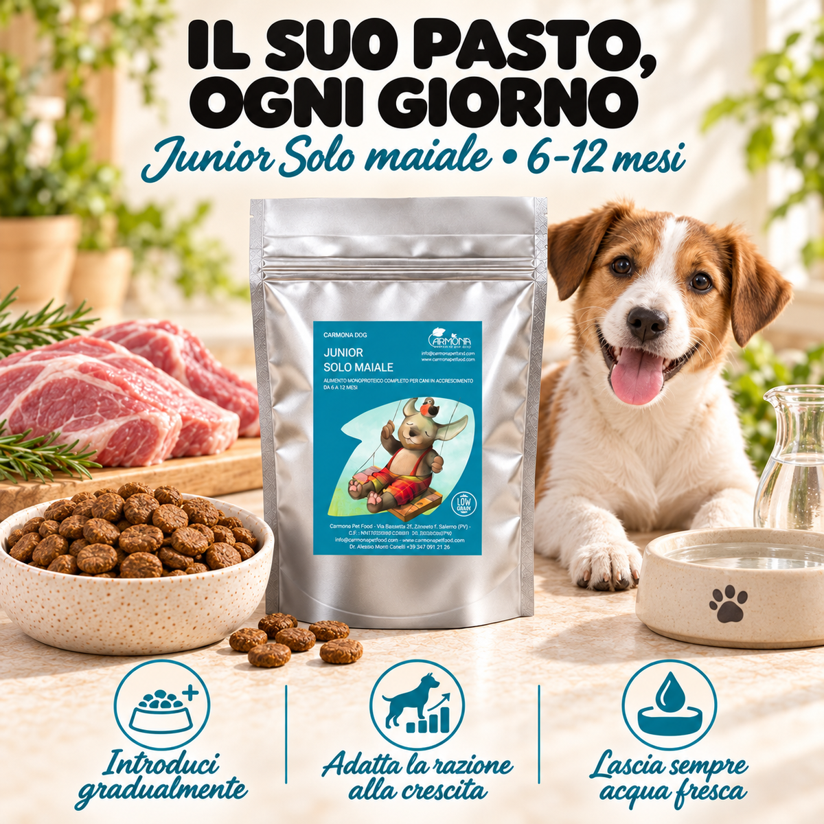 JUNIOR 6 - 12 MESI - Monoproteina Low Grain Maiale - immagine 4