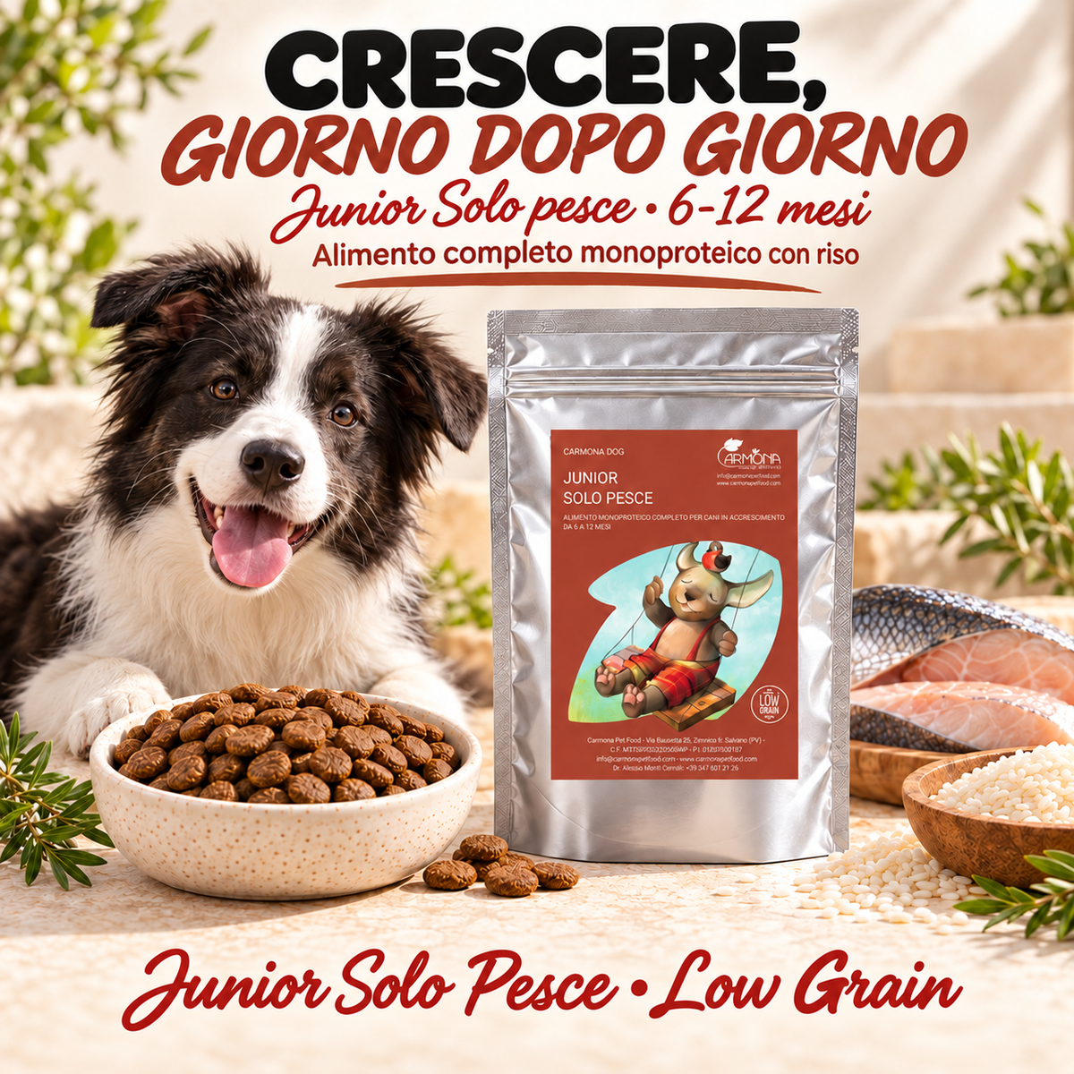 JUNIOR 6 - 12 MESI - Monoproteina Low Grain Pesce 2