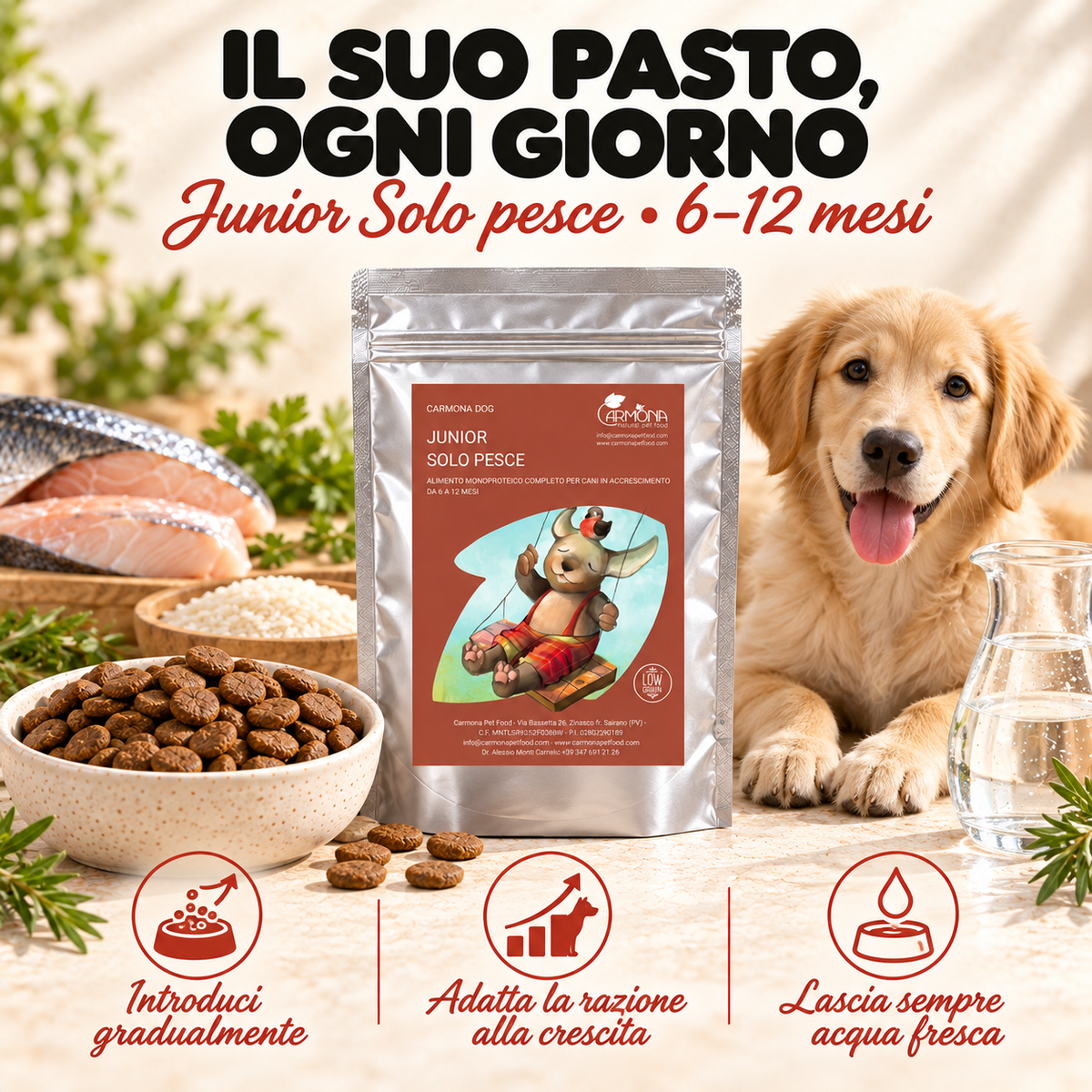 JUNIOR 6 - 12 MESI - Monoproteina Low Grain Pesce 4
