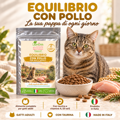 EQUILIBRIO con Pollo – Ricetta