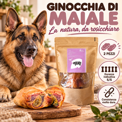 GINOCCHIA DI MAIALE — explanation