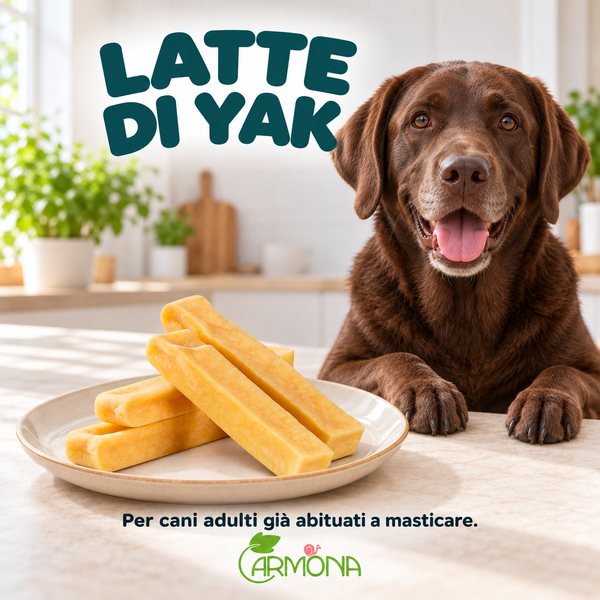 LATTE DI YAK - 1 pezzo da 15 cm