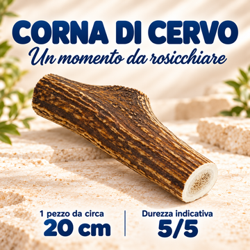 Corna di cervo - 1 pezzo da 20 cm