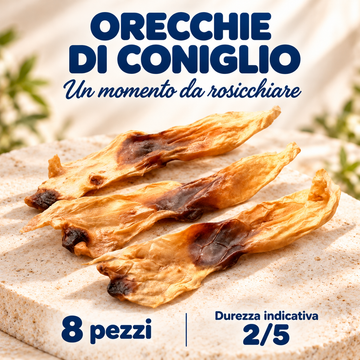 Orecchie di coniglio