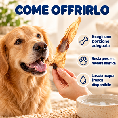 ORECCHIE DI CONIGLIO – modo d’uso