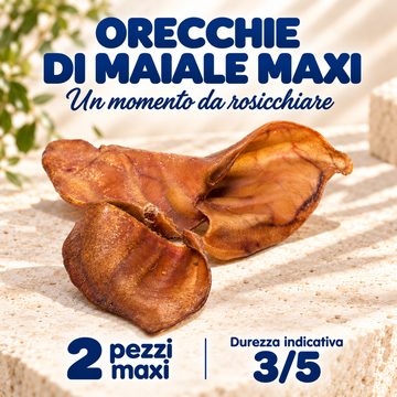Orecchie di maiale maxi