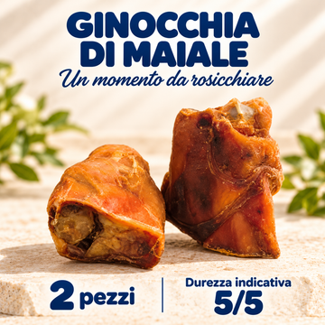 Ginocchia di maiale