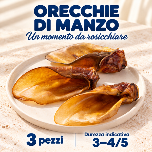 Orecchie di manzo