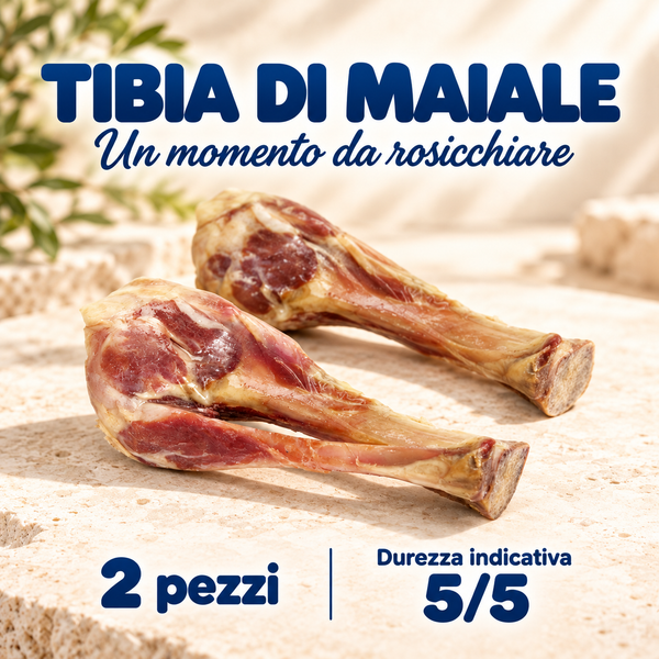 Tibia di maiale