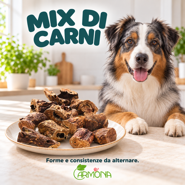 MIX DI CARNI - 250 g