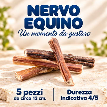 Nervo equino - 5 pz x 12 cm