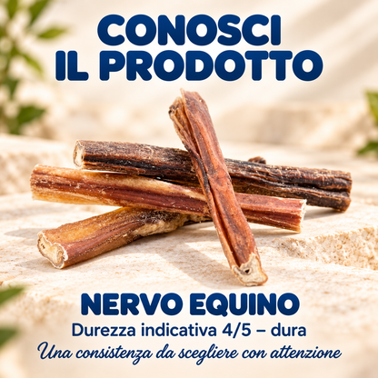Nervo equino – caratteristiche